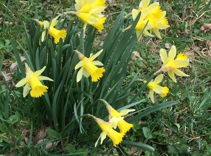 Gæstehus Gaestehaus Juetten Hellenthal