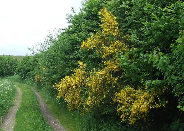 Gæstehus Gaestehaus Juetten 3*